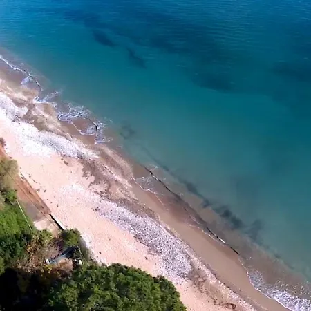 Nina's Cozy * 克拉尼