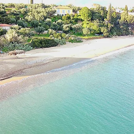 Nina's Cozy דירה