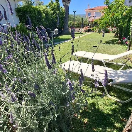 Nina's Cozy דירה *