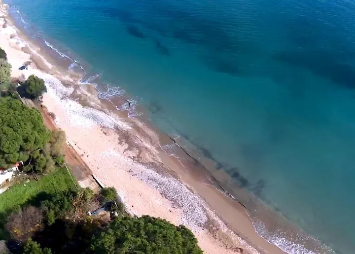 Nina's Cozy * Chrani